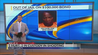 Driver in Florence County crash that killed paramedic, motorcyclist, released from jail on 100K bond
