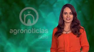 TITULARES AGRONOTICIAS sie7e PROGRAMA 124
