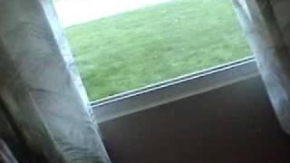 Webkinz Stunt: Webkinz jump out of a window