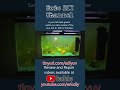 #shorts #tropicalfish #fishtank #review #uv #fish Fish tank green? See our UV Sterilizer Review