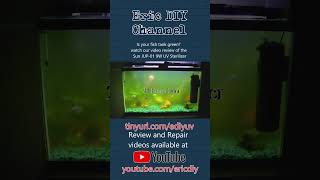 #shorts #tropicalfish #fishtank #review #uv #fish Fish tank green? See our UV Sterilizer Review