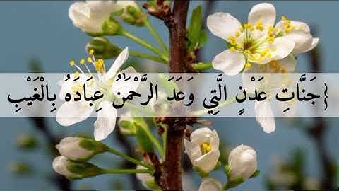 سورة مريم الآية (61-63) . آيات تبعث بالسكينة 🌺 مع تلاوة  جميلة