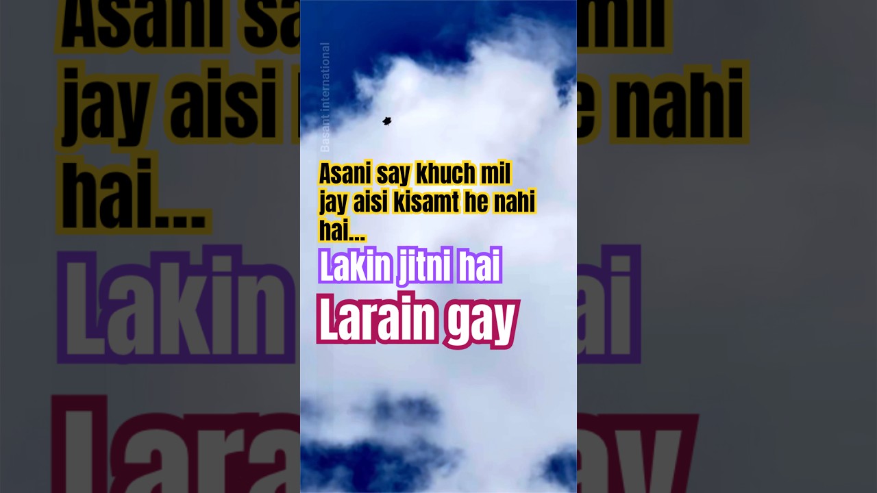 kite flying patang international kite festival plane kite 