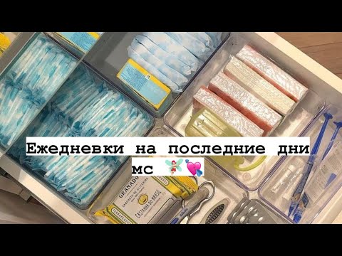 Ежедневки на последние дни мс ❤️🧚🏻♀️~Алина 🧚🏻♀️🌙
