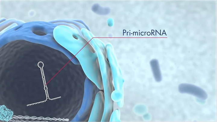 Discover microRNA origins and the latest technolog...