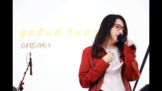 07.05.22 SIN CAT EXPO 8 - สุขสันต์วันลา