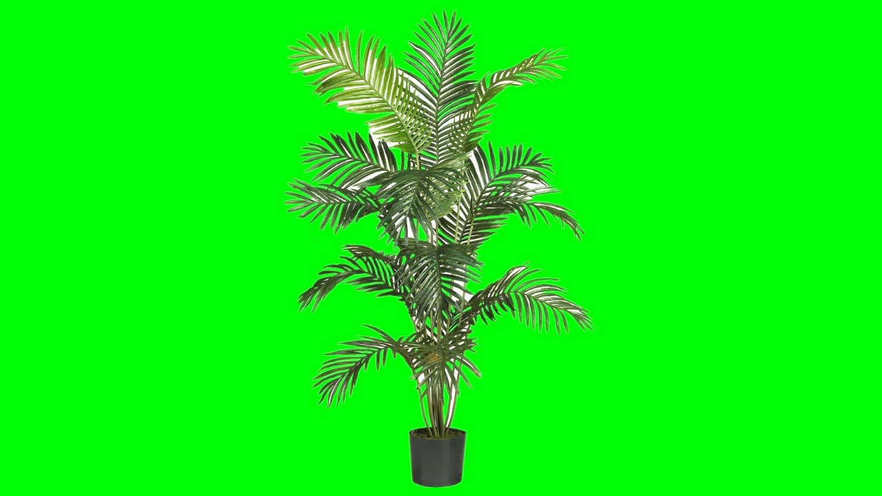 Green screen plant tree kinemaster chroma key video editor YouTube