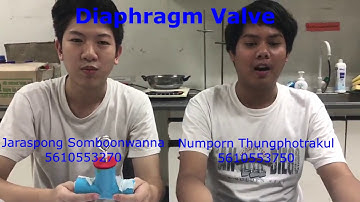 Weir type-Diaphragm Valve sec250