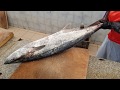 King Fish $350 10 KG Fillet Super Fast Ways/Fish Fillet By Japanese Knife/Fish Cutting by Knife