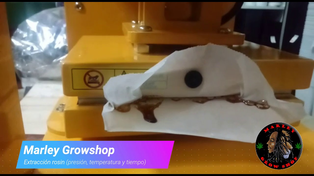 Marley Growshop - Extracción rosin