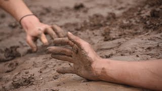 Like a Lotus, We Grow in the Mud