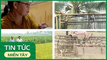 HTX Bình Nhì: Điểm sáng kinh tế tập thể trong nông nghiệp | THDT