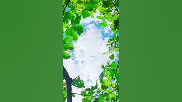 تلاوة قرآن هادئة/ستوري قرآن الكريم✨حالات واتس اب