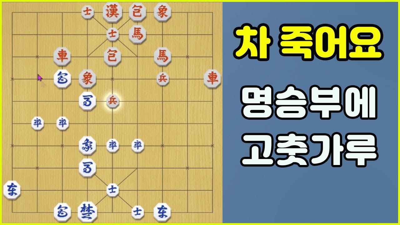 명승부에 고춧가루~ (슈이비닝 장기)