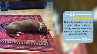 Real Reviews: Pet Owners Share Their Magic Carpet Experience!