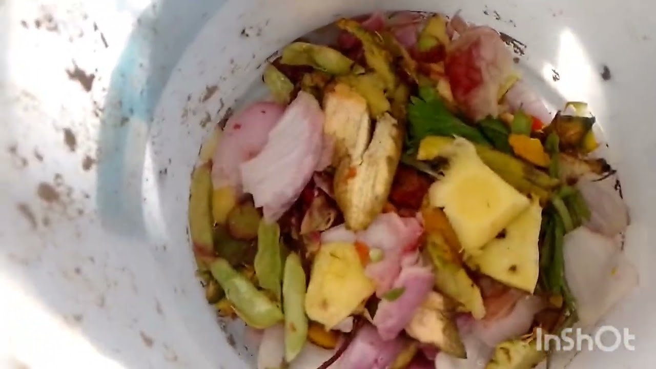 COMPOST ,cada día somos más 💚🌳🪴🌴🌎