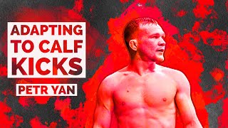 Petr Yan Breakdown: Adapting to Calf Kicks