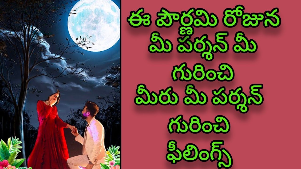🧚❤️🦋🌝ఈ పౌర్ణమి రోజున మీ & మీ పర్శన్ ఒకరి గురించి ఒకరు ఫీలింగ్స్ Tarot card reading today 