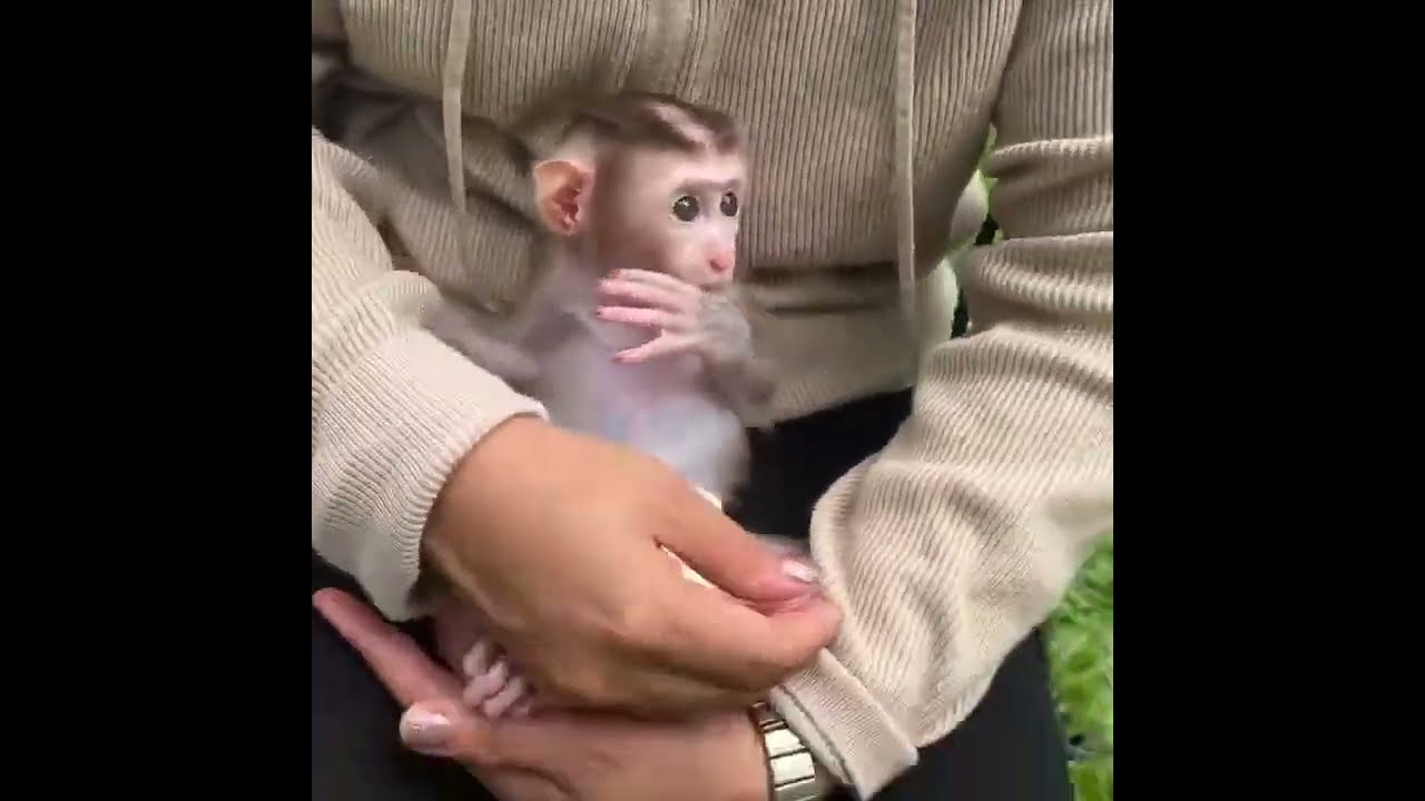 Baby Jelly Very Fast To Get Mom Pick Her