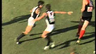 24th April 1993 - WAFL - Perth v Swan Districts