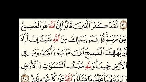 صوت يفوق الخيال كأنه نزل من السماء للقارئ أسامة بويزمارن