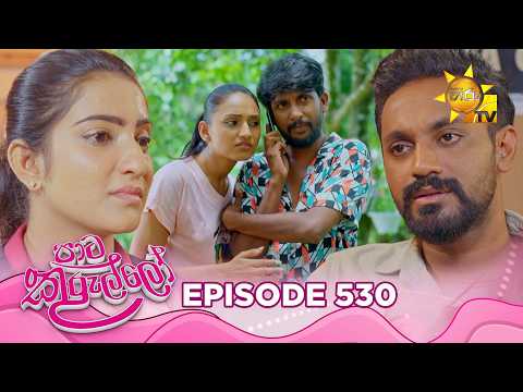 Paata Kurullo - පාට කුරුල්ලෝ | Episode 530 | 2026-05-21 | Hiru TV