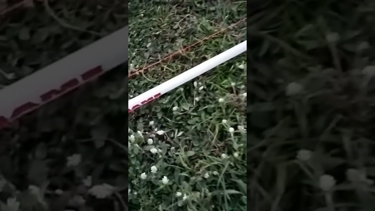 20$ Walmart rod Berkeley big game 