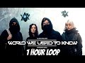 1 Hour Alan Walker X Winona Oak World We Used To Know World We Used To Know 1 Hour Loop mp3