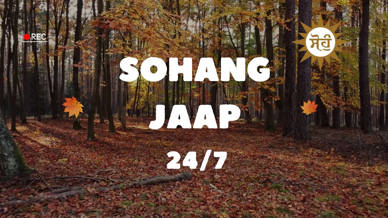 SOHANG JAAP 24/7 (GURU RAVIDAS JI)  LIVE Sohang Jaap | संत रविदास जी का पावन जाप | ਸੋਹੰਗ ਜਾਪ ਲਾਈਵ