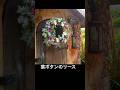 【葉ボタンのリース】#ハボタンのギャザリング#バラの様な葉ボタン