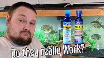 Melafix and Pimafix - do they really work?