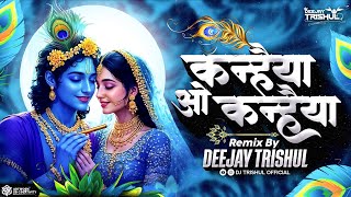 Kanhaiya O Kanhaiya - Dj Song Dance Mix | कन्हैया ओ कन्हैया _ Remix By Deejay Trishul | 