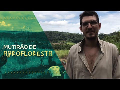 MUTIRÃO DE AGROFLORESTA, adubação verde e bananas // PorQueNão? na Prática