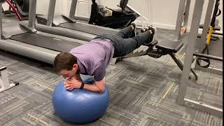 Front Plank Feet Elevated SB