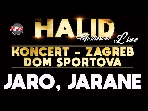 Halid Muslimović -