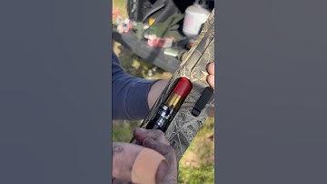 Beretta a400 Xtreme destroys this tree!