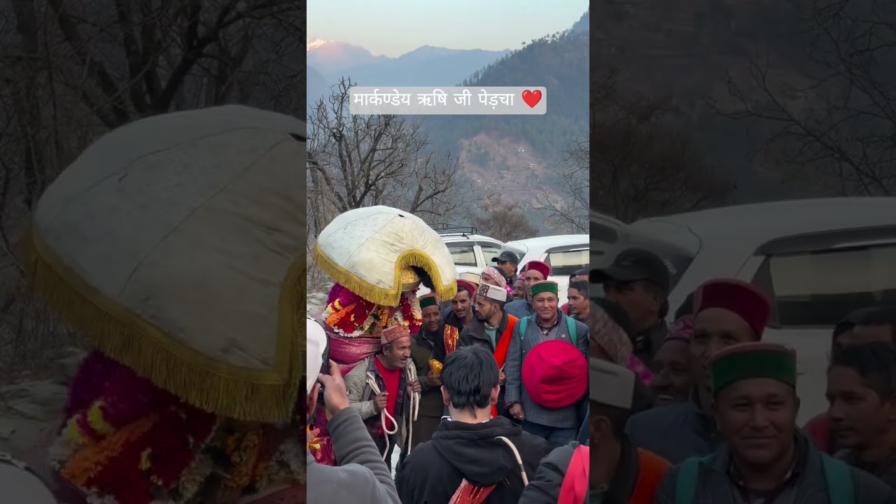 जय हो मालिक ❤️🙏 #love #shorts #shortvideo #subscribe #like