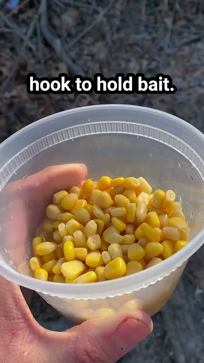 I went fishing with corn