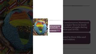 Essay Introduction: Black Consciousness Movement | Grade 12 History Short