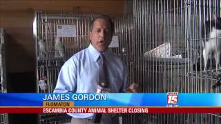 Escambia Alabama Animal Shelter Out of Money.