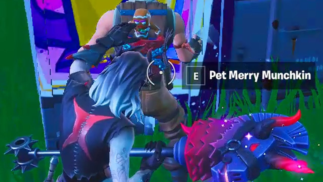 Pet a teammate's pet & Mark an Uncommon, Rare, and Epic item WEEK 7 CHALLENGES GUIDE FORTNITE