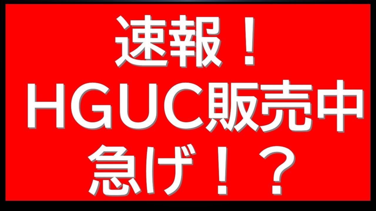 Breaking News: The HGUC has suddenly gone on sale! It's available