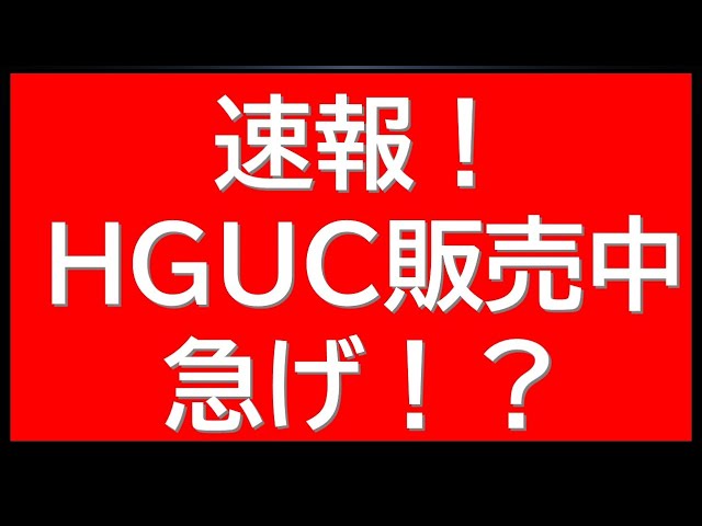 Breaking News: The HGUC has suddenly gone on sale! It's available