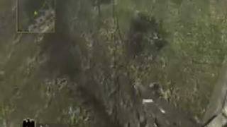 Asylum Skywalk - COD5
