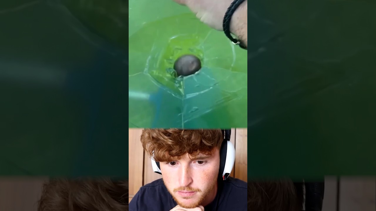 Marbles Vs Ice… #shorts