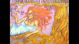 Morse Code Transmission   Funky Alley Profile