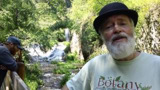 Darwin at the waterfall