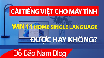 Cài tiếng việt cho Win 11 Home Single Language có được hay không?