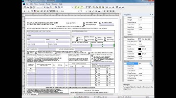 Convert PDF to InfoPath Using FormBridge