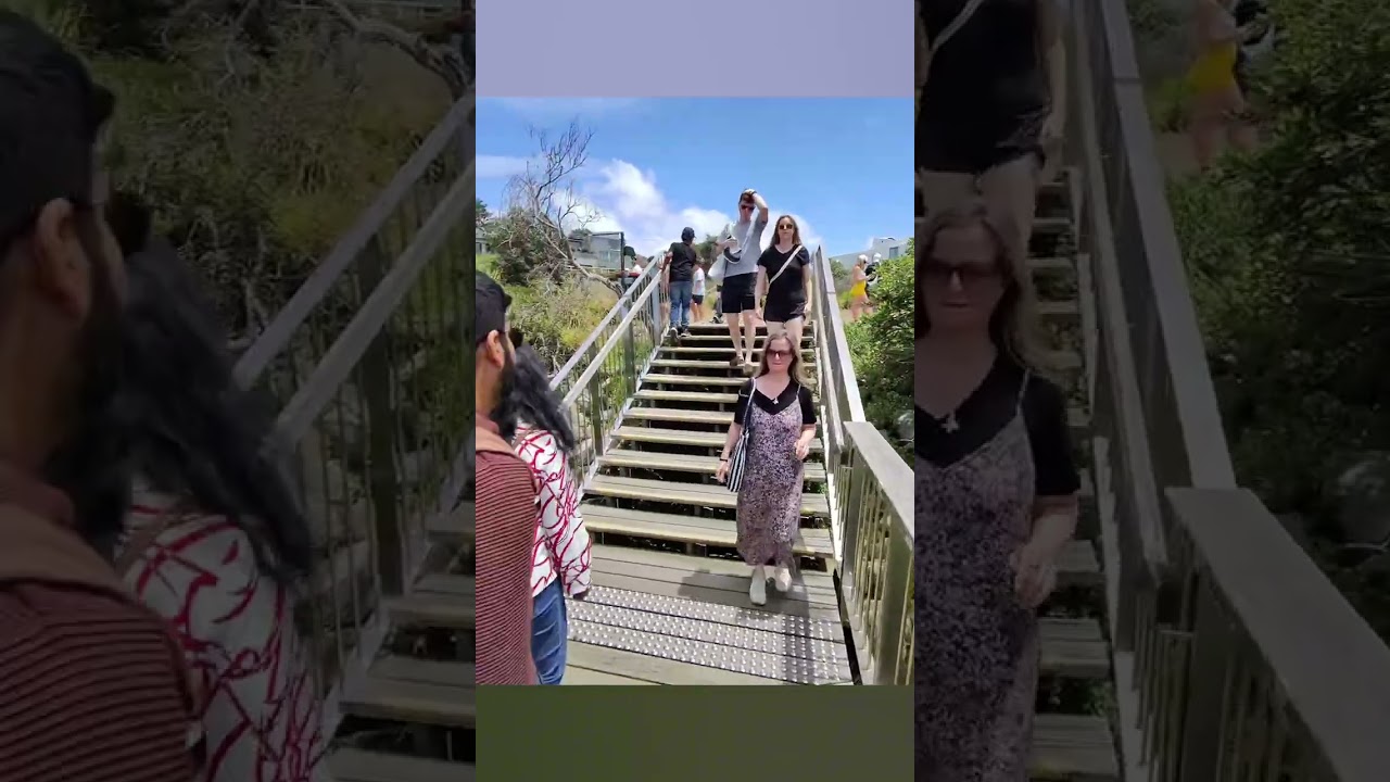 7km coastal walk from Coogee Beach to Bondi Beach.